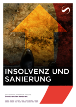 SAXINGER-CZ_BF_2024-04_DE_Insolvenz-und-Sanierung.pdf